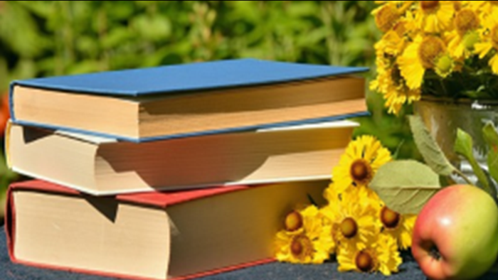 Stak af farverige bøger ved siden af en spand med solsikker og et æble på en struktureret overflade.