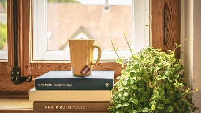 Auf dem Fensterbrett stehen eine Tasse, Bücher und eine Topfpflanze