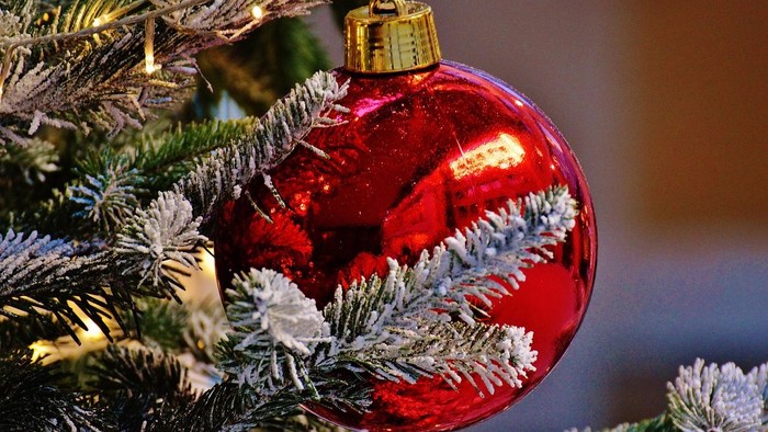 Ein roter Christbaumschmuck mit goldenen Aufsatz hängt an einem Tannenbaum.