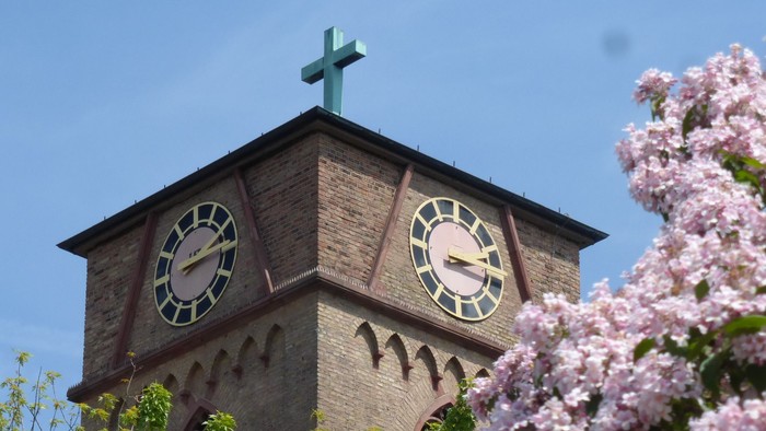 Ein Kirchturm mit Uhr und Kreuz, umgeben von blühenden Kirschblüten