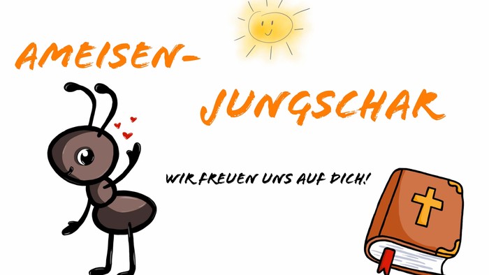 Ein Ameisen-Jungscharkarton mit Bibel und Sonne