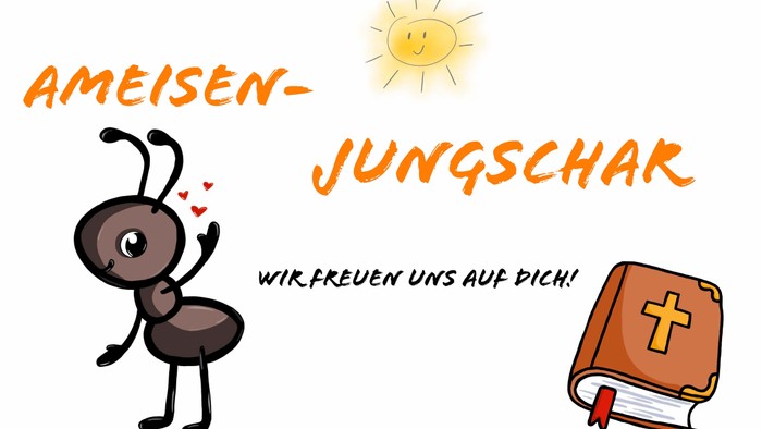Ein Ameisen-Jungscharkarton mit Bibel und Sonne