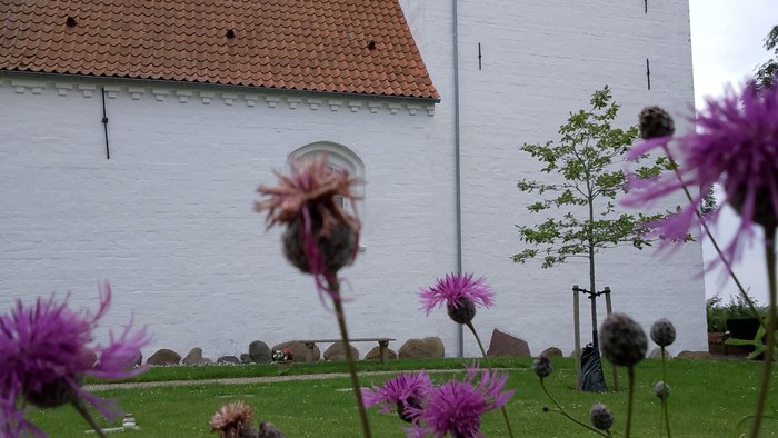 Blomster på grønne eng med hvid kirke i baggrunden