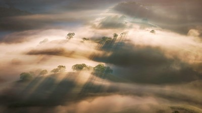 Nebelige Morgenlandschaft in goldenem Sonnenlicht getaucht, mit verstreuten Bäumen, die über die Wolken ragen.