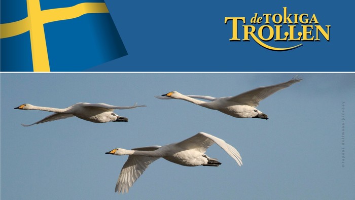 Plakat wirbt für ein musikalisches Konzert des Nordischen Chors mit dem Titel *„Sehnsucht, Licht und Weite“* in Köln am 21. Juni 2026.