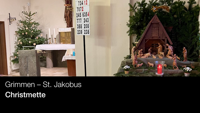 Grimmen – St. Jakobus: Weihnachtsdekoration mit Krippenbild und Tanne