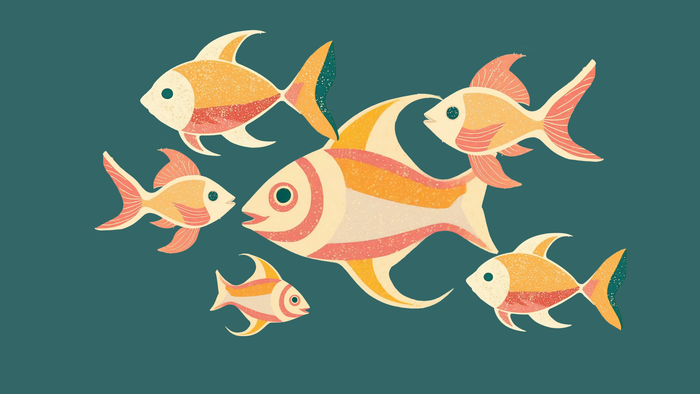 Ein Schwarm bunter Fische schwimmt im grünen Wasser