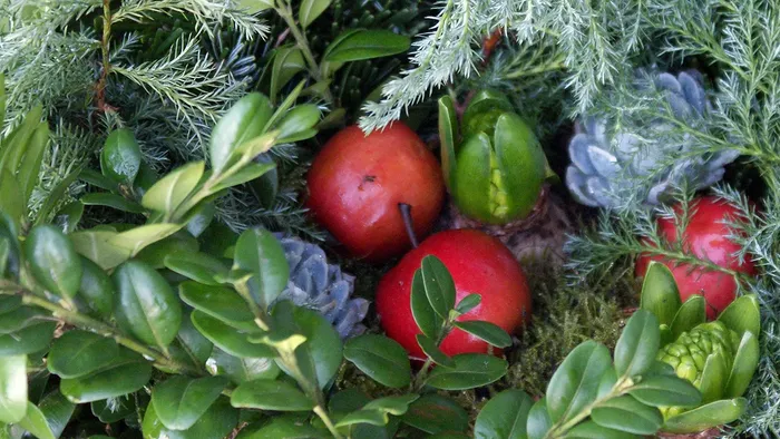 Juledekoration med små æbler