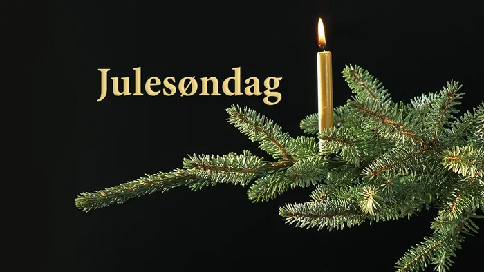 Julesøndag med guldfarvet stearinlys på en grangren