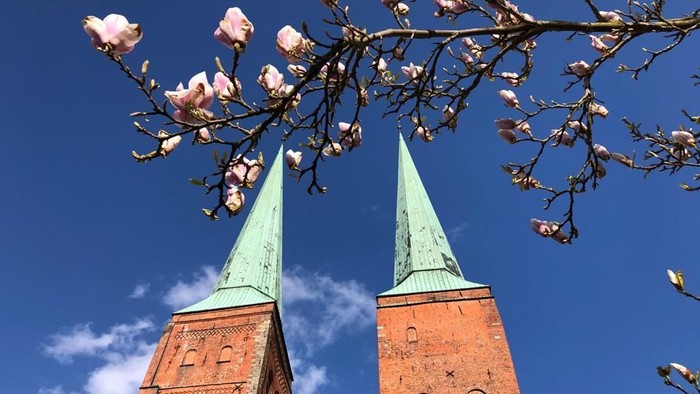 Zwei rote Backsteintürme mit grünen Spitzen vor blühendem Baum und blauem Himmel