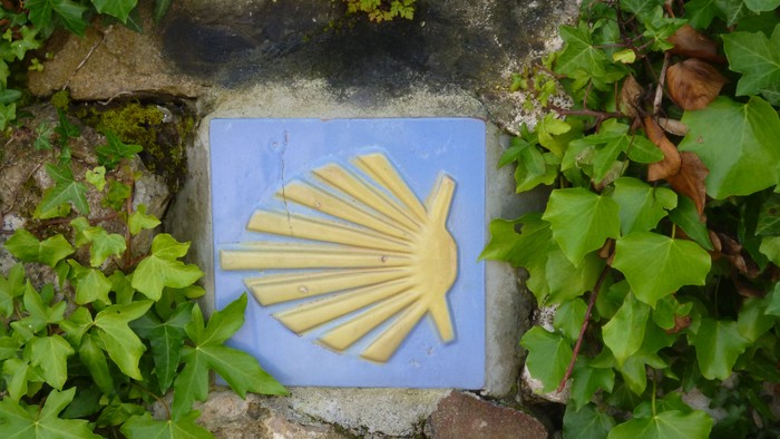 Ein blaues Schild mit einer gelben Muschelform liegt auf einem steinigen Weg umgeben von Grünpflanzen.