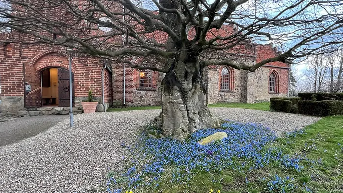 Indgang til Esbønderup Kirke med forårsblomster