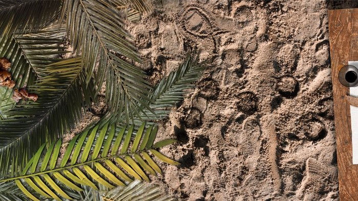 En palmegren og en træstamme med et håndtag og skruer.