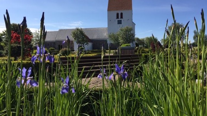 En hvid kirke med rødt tag og blå vinduer, omgivet af blomster og græs.