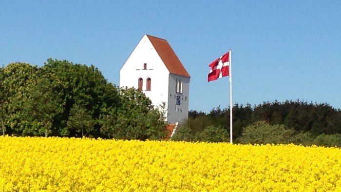 En hvid kirke med rødt tag og en dansk flag i en guldguldseng