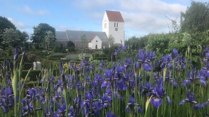 En hvid kirke med rødt tag og blå iriser i forgrunden