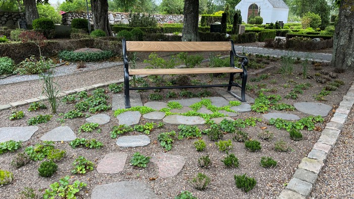 En træbank i en rosinagtig have med sten og planter