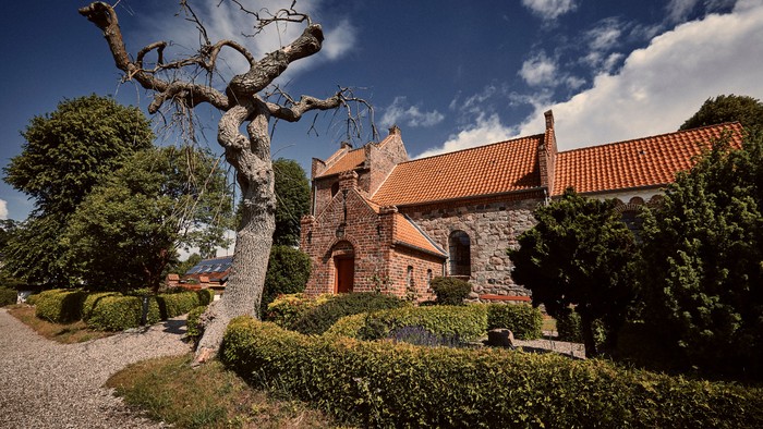 Et gammelt træ og en murstensbygning med rødt tag i en have
