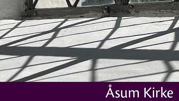 Skygger på snøflade med teksten 