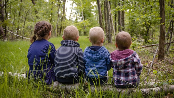 Vier kleine Kinder sitzen auf einem Baumstamm im Wald