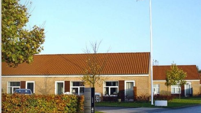 En lille gule hus med rødt tag og en flagstang med dansk flag.