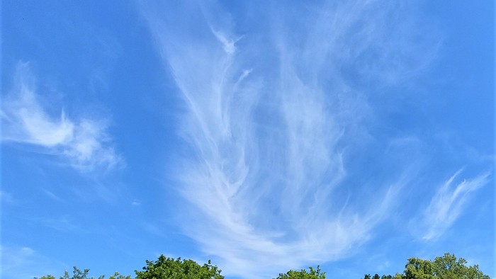 Blauer Himmel mit zarten Wolken und grünen Bäumen im Vordergrund
