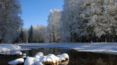 Schneebedeckte Landschaft mit Bäumen und Felsen unter klarem blauen Himmel.