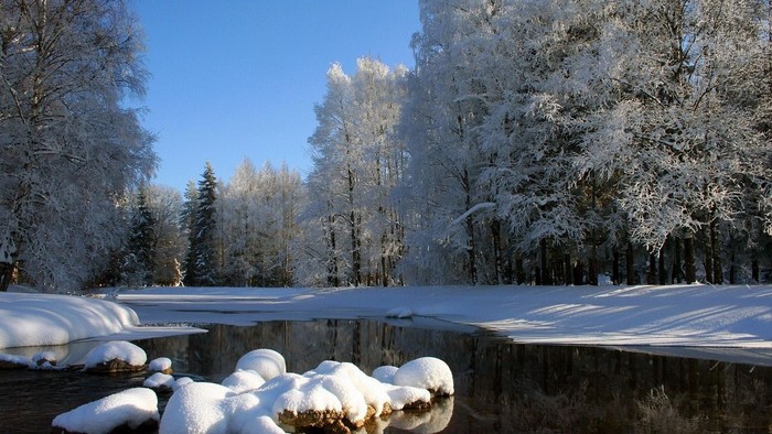 Schneebedeckte Landschaft mit Bäumen und Felsen unter klarem blauen Himmel.