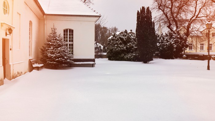 Schneebedeckte Landschaft mit Haus und Bäumen
