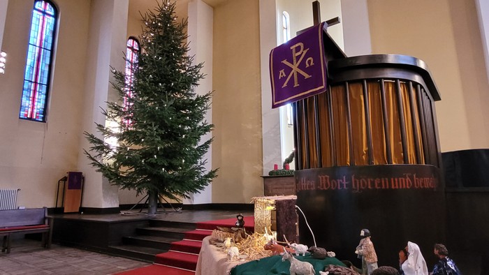 In der Kirche steht ein geschmückter Weihnachtsbaum neben einem großen Orgelpfeifen.