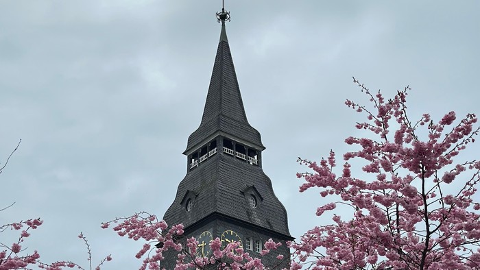 Turm mit spitzer Spitze hinter rosa blühendem Baum