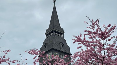 Turm mit spitzer Spitze hinter rosa blühendem Baum