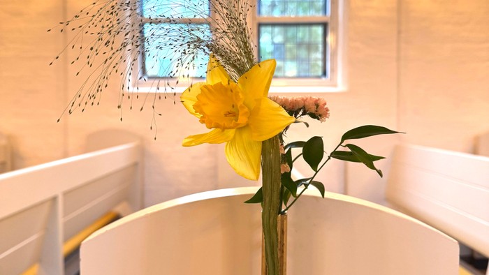 En lysende gul påskelilje i et hvidt badekar med en rolig, solbeskinnet baggrund i rummet.