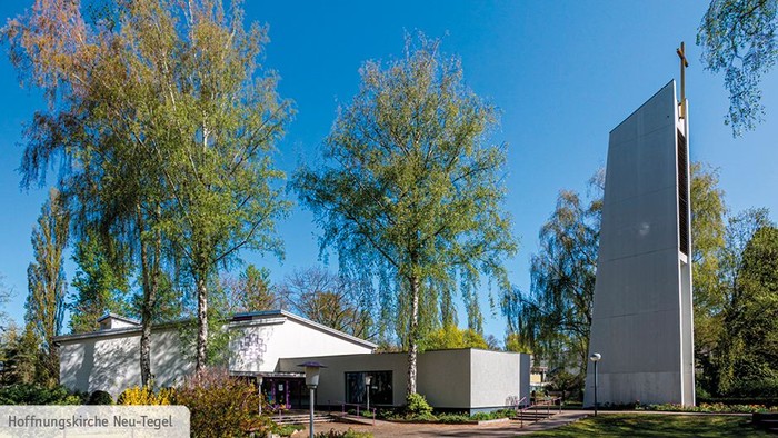 Haus mit Garten und hohen Bäumen unter blauem Himmel