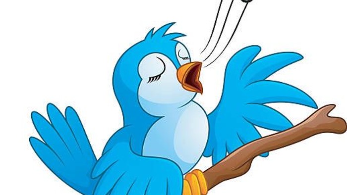 En blå fugl synger på gren