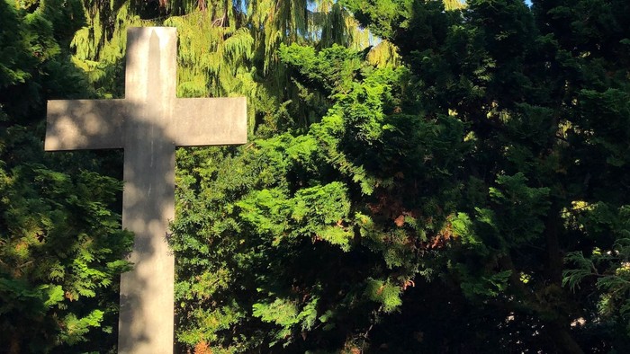 Et hvidt kors står midt i tæt, grøn løvkrans.