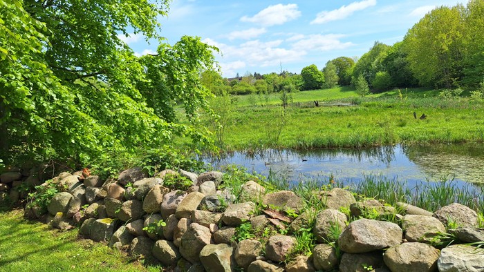 Ein ruhiger Teich, umgeben von üppigem Grün und einem Steineinfassung, unter einem strahlend blauen Himmel.