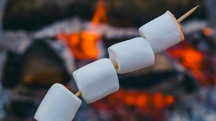 Tre skumfiduser spiddet over et knitrende lejrbål, der ristes med flammer i baggrunden.