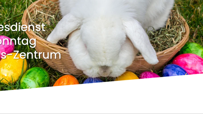 Das Bild zeigt ein Hase in einem Körbchen mit bunten Eiern.