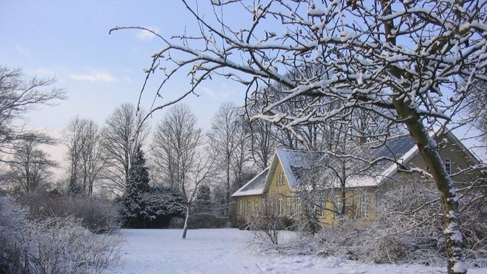 Et hyggeligt gult hus gemt i et fredfyldt, sneklædt skovlandskab.
