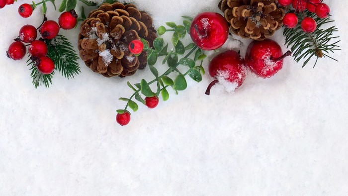 En hvid karris med røde bær og granegren, dekoreret til jul