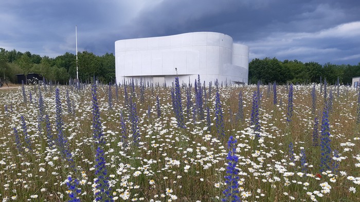 En stor hvid bygning omgivet af et mark med blå og hvide blomster.