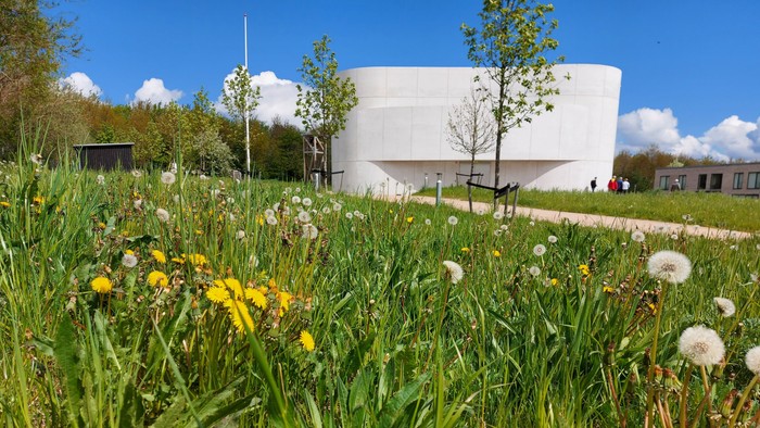 En grøn og blomstret mark med et moderne, hvide bygning i baggrunden