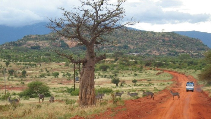 Straße in Kenia
