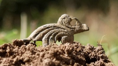 Lille firben på jordhøj.