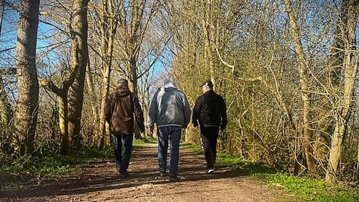 Tre personer går i skoven på en sti omgivet af træer.