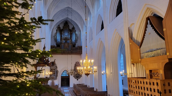 Indre del af en stor kirke med orgel og juletree