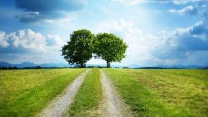 Flyer zu vier Veranstaltungen über die Evangelische Erwachsenenbildung