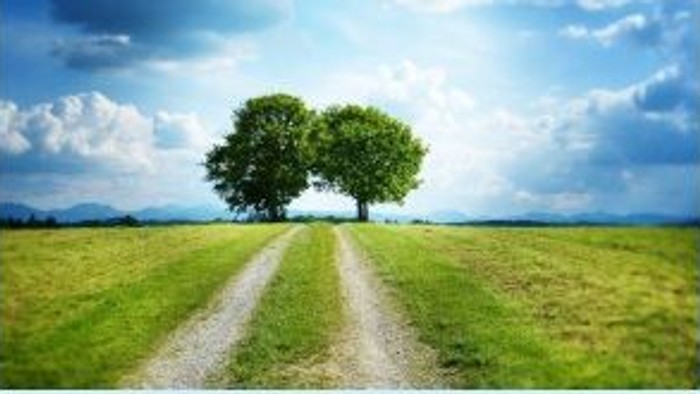 Flyer zu vier Veranstaltungen über die Evangelische Erwachsenenbildung