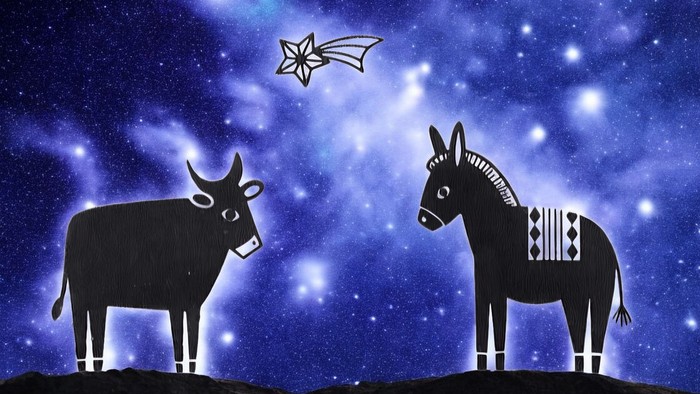 Zwei Tiere stehen unter einem Sternenhimmel